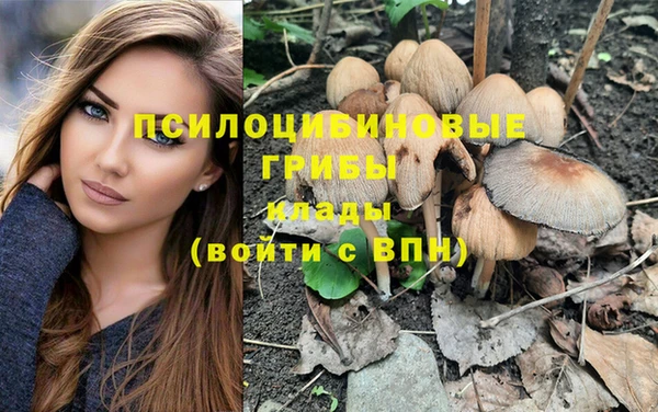 мдпв Куйбышев