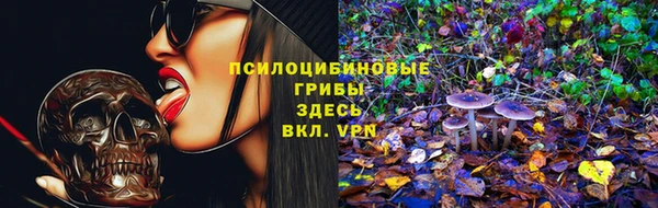 ешки Великий Новгород