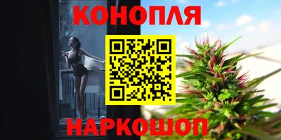гидропоника Можайск