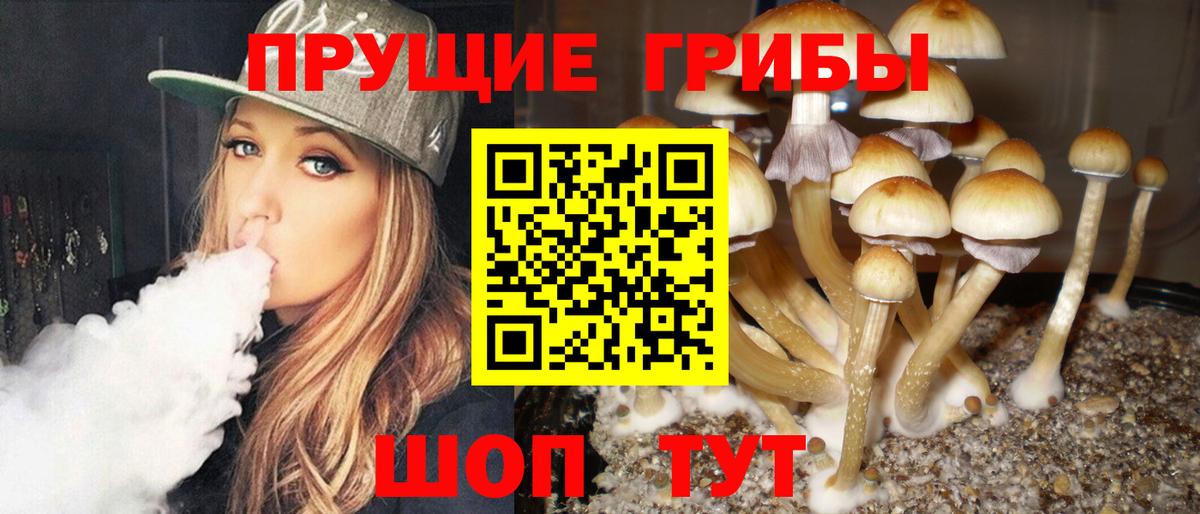 Псилоцибиновые грибы мухоморы Темрюк