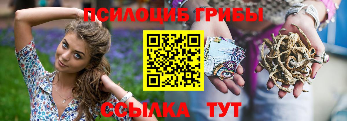 Псилоцибиновые грибы GOLDEN TEACHER  Галлюциногенные грибы мухоморы  Темрюк  Вход с VPN 