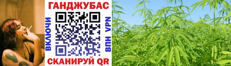 Конопля индика  Темрюк 